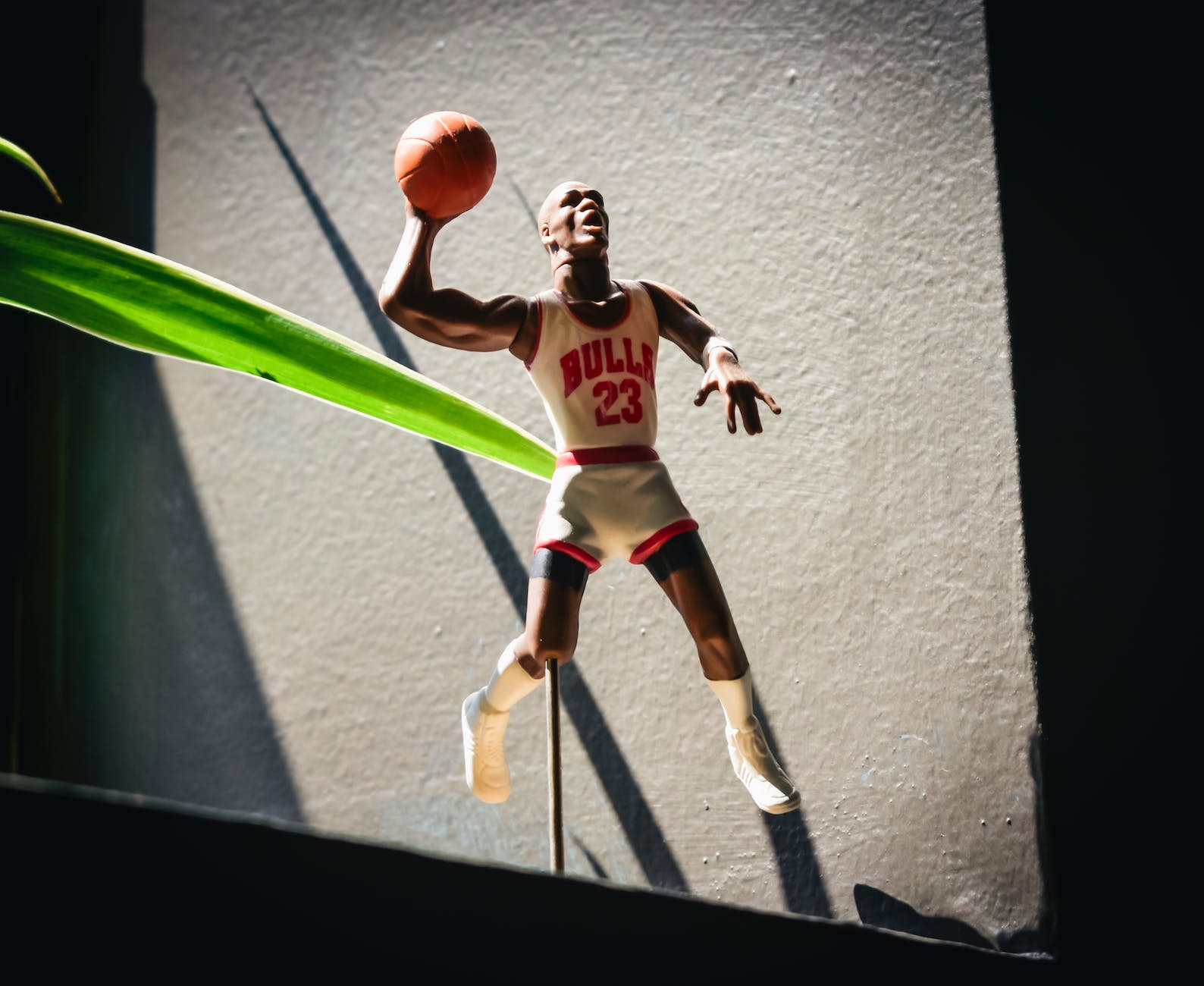 Which celebrities are the biggest sport bettors? - Taddlr